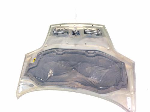 Used Hood Hood RENAULT SCÉNIC I MPV (JA0/1_, FA0_) 1.9 dTi (JA1U) (80 hp) 36184227 36184227