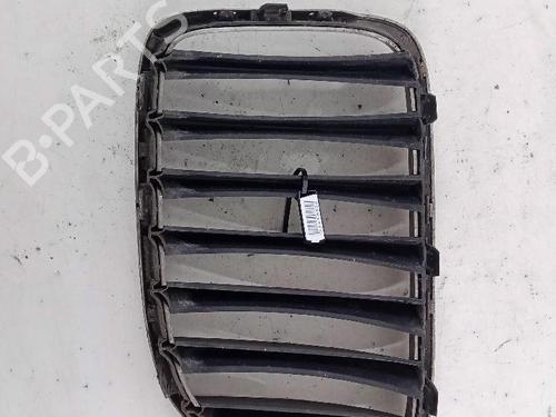 Used Grille BMW X1 (E84) xDrive 18 d (143 hp) 18482864