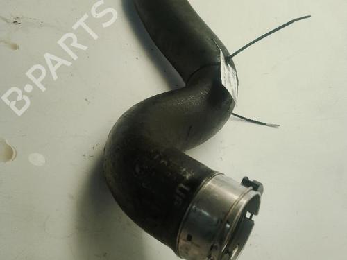 Pipe BMW 1 (F20) 116 d | BP29861010M125 