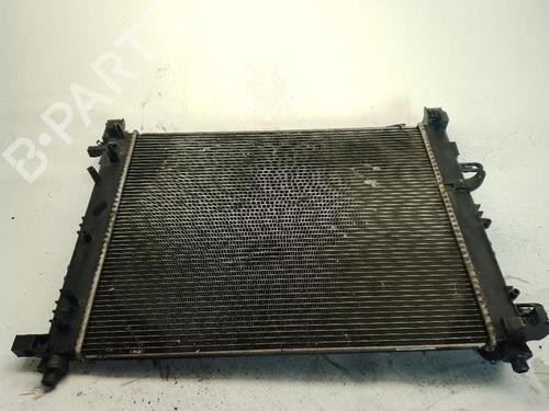 Water radiator DACIA DOKKER MPV (KE_) 1.6 | BP29583165M31