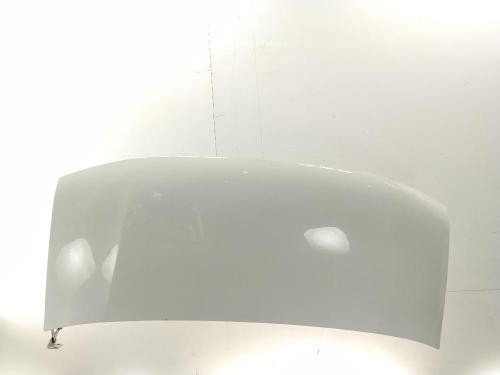 Used Hood Hood OPEL MOVANO A Van (X70) 2.2 DTI (FD) (90 hp) 40258002 40258002
