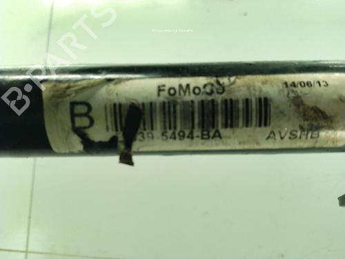 Stabilisateur FORD RANGER (TKE) 2.2 TDCi 4x4 | BP30919828M96