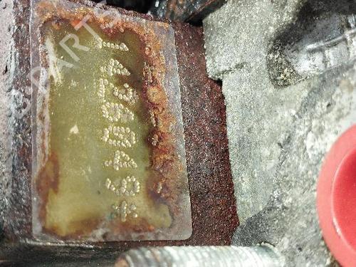 Engine FIAT BRAVO II (198_) 1.4 (198AXA1B) | BP29908455M1