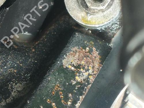 Engine VW POLO IV (9N_, 9A_) 1.9 SDI | BP18358062M1 - Image 7