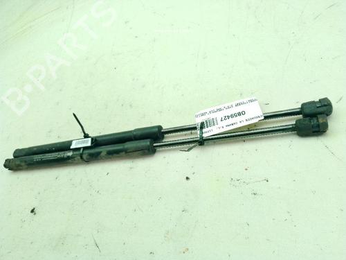 Pansergassdemper CHEVROLET CAPTIVA (C100, C140) 2.0 D 4WD | BP27450189C139 