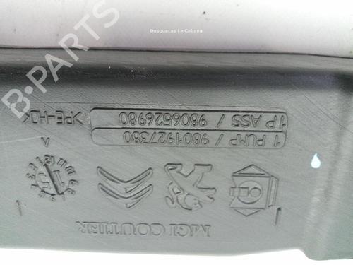 Windscreen washer tank PEUGEOT 308 II (LB_, LP_, LW_, LH_, L3_) 1.2 THP 110 | BP19776927C113