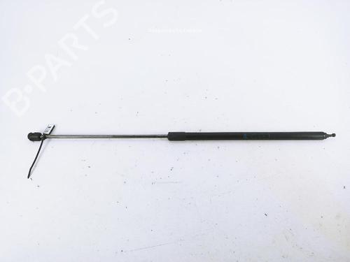 hood-lift-support-renault-megane-iii-hatchback-bz01_-b3_-2008-31988617 main image