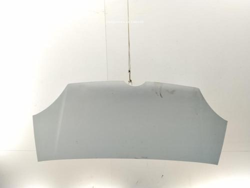 Used Hood Hood 39425298 39425298