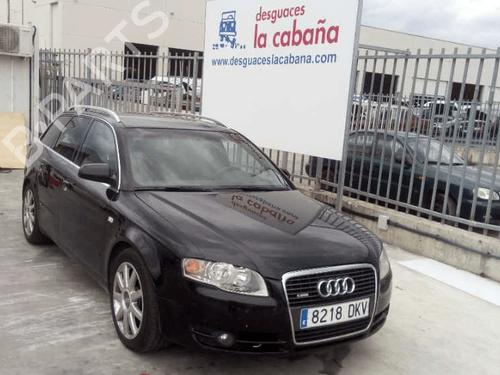 Left rear door AUDI A4 B7 (8EC) 2.0 TDI 16V | BP31352136C4 