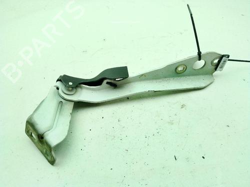 Used Hinge/Door check strap Hinge/Door check strap RENAULT MASTER III Platform/Chassis (EV, HV, UV) 2.3 dCi 125 FWD (EV0C, EV0D, EV0J, HV0C, HV0D, HV0H,... (125 hp) 31125504 31125504