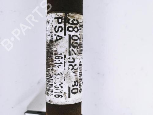 Used Left front driveshaft CITROËN C4 II (NC_) 1.2 THP 130 (NCHNYM, NCHNYT) (130 hp) 18371998