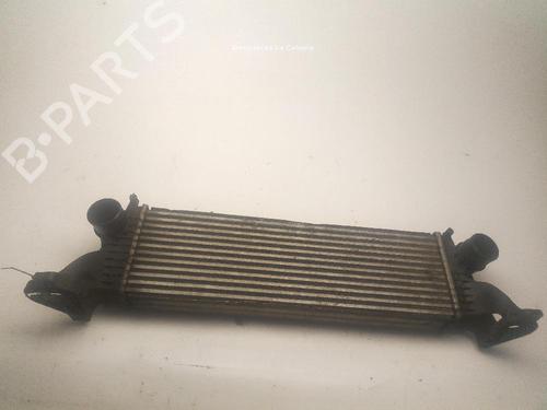 Used Intercooler Intercooler IVECO DAILY VI Van 33S12, 35S12, 35C12 (116 hp) 24044218 24044218