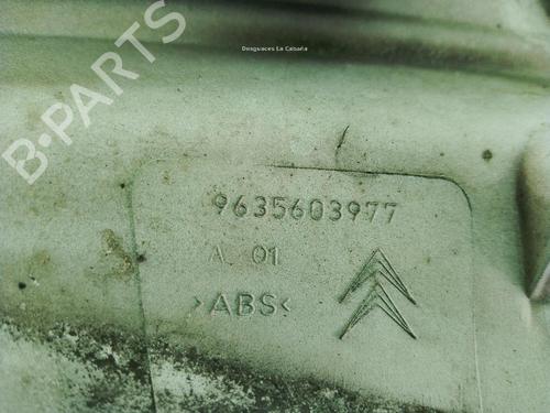 Grille CITROËN BERLINGO / BERLINGO FIRST MPV (MF_, GJK_, GFK_) 1.9 D (MFWJZ) | BP30803508C40