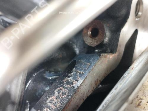 Engine SKODA OCTAVIA II (1Z3) 2.0 TDI 16V | BP28350818M1 