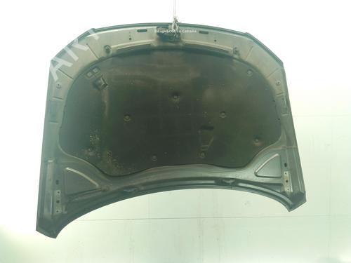 Hood VW PASSAT B6 (3C2) 2.0 TDI 16V | BP28596396C1 