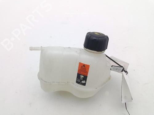 Used Expansion tank RENAULT KADJAR (HA_, HL_) 1.3 TCe 140 (HLNB, HLN1) (140 hp) 18375511