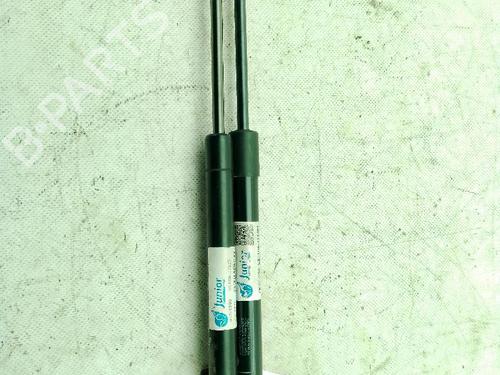 Used Hood lift support LAND ROVER FREELANDER 2 (L359) 2.2 TD4 4x4 (160 hp) 26592739