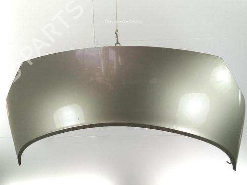 Used Hood RENAULT SCÉNIC II (JM0/1_) 1.5 dCi (JM1E, JM16) (106 hp) 24050714