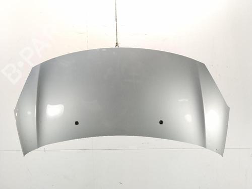 hood-citroen-c3-ii-sc_-2009-34391355 main image