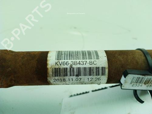 Left front driveshaft FORD TRANSIT CONNECT V408 Box Body/MPV 1.5 EcoBlue | BP31799177M38