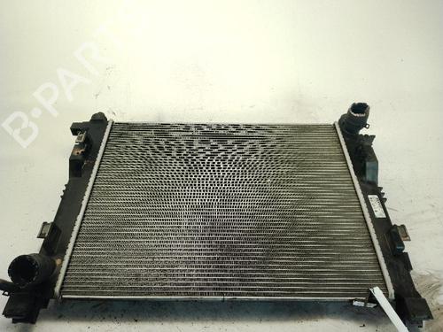 Water radiator DACIA DOKKER MPV (KE_) 1.6 | BP29583165M31