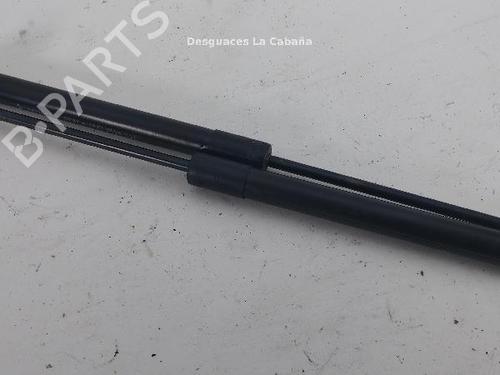 hood-lift-support-renault-megane-iv-hatchback-b9amn_-2015-31989225 main image