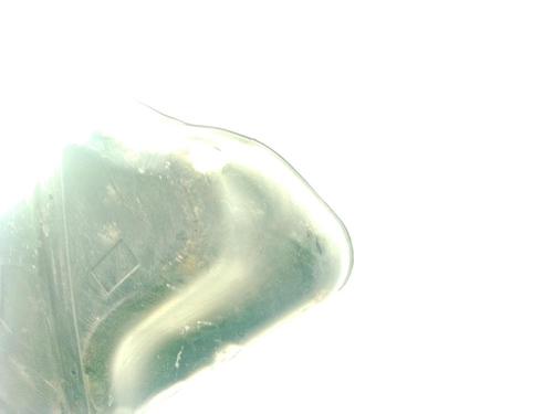 Fuel tank FORD PUMA (J2K, CF7) 1.0 EcoBoost mHEV | BP29449382C62 
