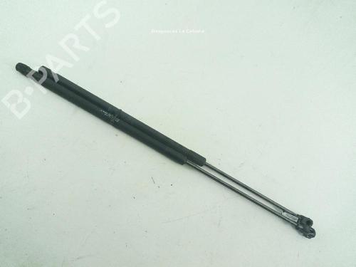 Used Hood lift support MERCEDES-BENZ CLS Shooting Brake (X218) CLS 350 CDI / d 4-matic (218.993) (265 hp) 18369224