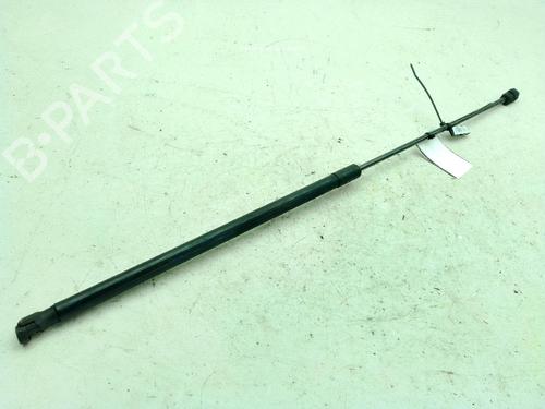 hood-lift-support-vw-golf-v-1k1-2003-2004-2005-2006-2007-2008-2009-2010-23999503 main image