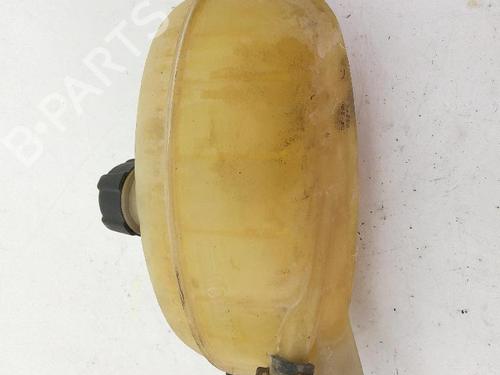 Used Expansion tank OPEL VIVARO A Bus (X83) 1.9 DTI (F7, J7, A07) (101 hp) 19776930