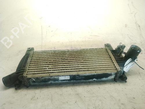 Intercooler NISSAN PATHFINDER III (R51) 2.5 dCi 4WD | BP29821882M30