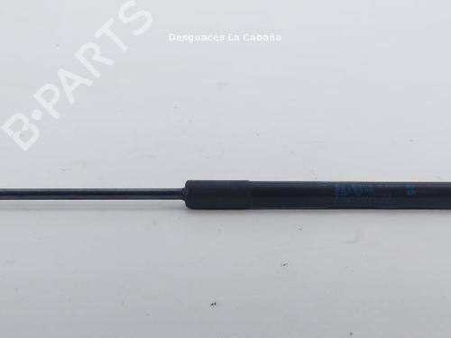 Amortiguador capot BMW X1 (F48) sDrive 18 i (136 hp) 31989077