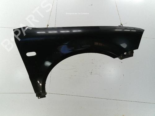 Right front fenders VW PASSAT B5.5 (3B3) 1.9 TDI | BP26900595C42 