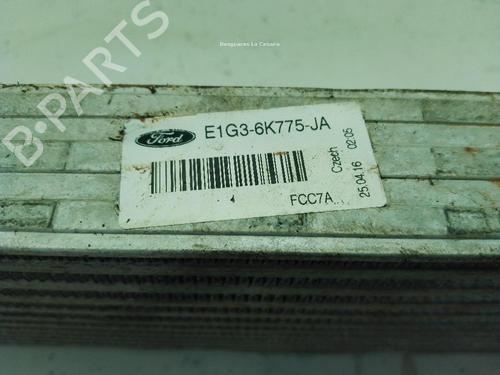 Intercooler FORD S-MAX (CJ, WA6) 2.0 TDCi | BP31064190M30 - Image 3