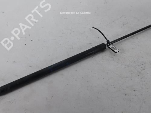 hood-lift-support-dacia-duster-hs_-2010-2011-2012-2013-2014-2015-2016-2017-2018-24041198 main image
