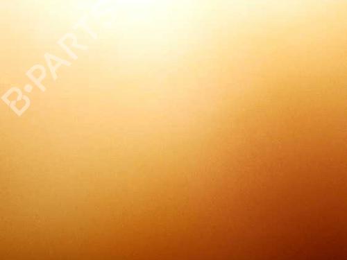 Used Parts CITROËN XSARA PICASSO (N68) 2.0 HDi 4481415