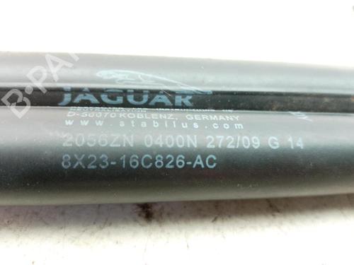 Hood lift support JAGUAR XF I (X250) 3.0 D | BP24000427C139 