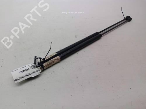 Used Tailgate lift support MERCEDES-BENZ VITO Bus (W639) 111 CDI (639.701, 639.703, 639.705) (109 hp) 29697605