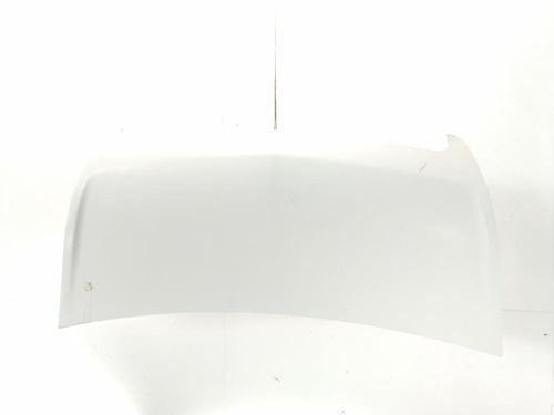 Used Hood Hood RENAULT MASTER III Van (FV) 2.3 dCi 170 FWD (FV0L) (170 hp) 36319068 36319068