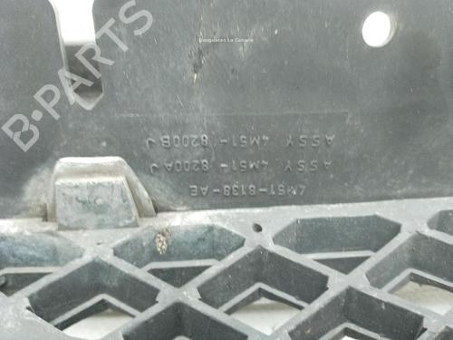 Grill FORD FOCUS II (DA_, HCP, DP) 2.0 | BP24000234C40 