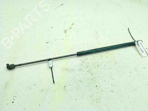 Hood lift support CITROËN XSARA (N1) 2.0 HDi 109 | BP25734457C139 