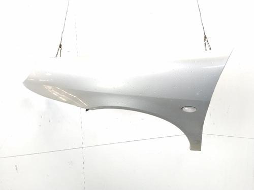 Guarda-lamas esquerdo Guarda-lamas esquerdo CITROËN XSARA (N1) 1.4 i (75 hp) 33953860 33953860