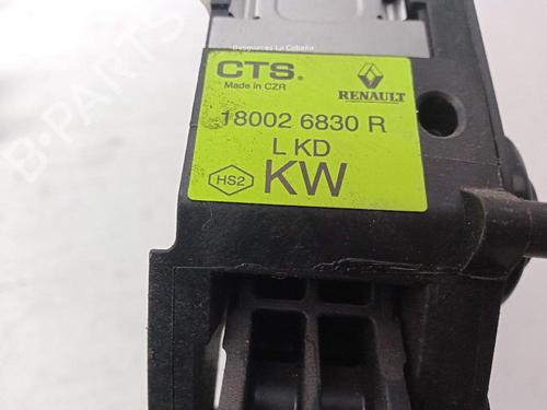Pedal RENAULT TALISMAN (LP_) 1.6 dCi 160 | BP29765362I4