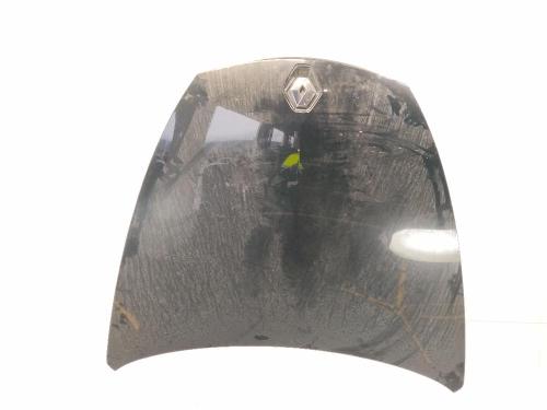 Used Hood Hood RENAULT LAGUNA Coupe (DT0/1) 2.0 dCi GT (DT11, DT1E, DT1N) (178 hp) 40442276 40442276
