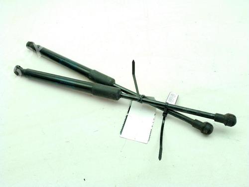 Used Hood lift support AUDI A4 B9 Avant (8W5, 8WD) 2.0 TDI (190 hp) 24546060
