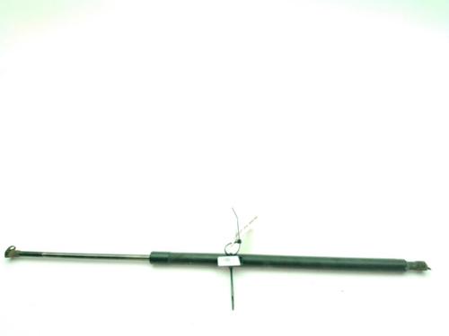 Used Tailgate lift support RENAULT GRAND SCÉNIC III (JZ0/1_) 1.6 dCi (JZ00, JZ12) (130 hp) 30146503