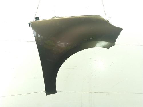 Right front fenders RENAULT SCÉNIC III (JZ0/1_) 1.5 dCi | BP28838923C42 