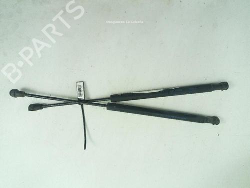 Used Hood lift support LAND ROVER RANGE ROVER SPORT I (L320) 4.2 4x4 (390 hp) 18358499