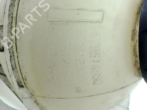 Expansion tank PEUGEOT 308 II (LB_, LP_, LW_, LH_, L3_) 1.6 HDi 100 | BP24045344C120