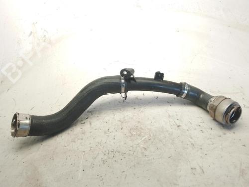 Used Intercooler pipe NISSAN JUKE (F16_) 1.0 (114 hp) 25597539